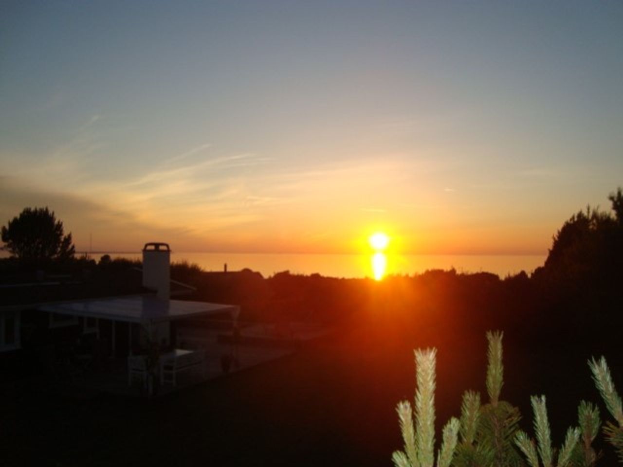 image 01
